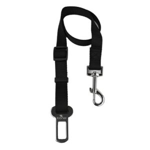 Cinturón de Seguridad Básico